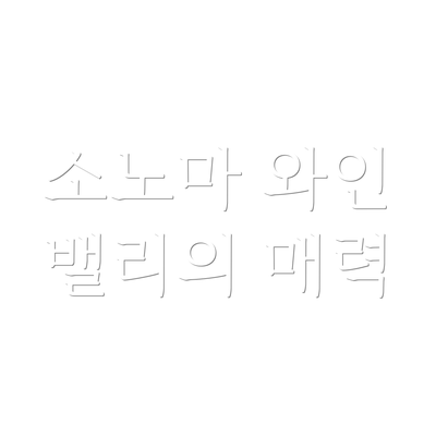 소노마 와인 밸리의 매력