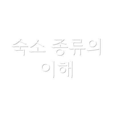 숙소 종류의 이해