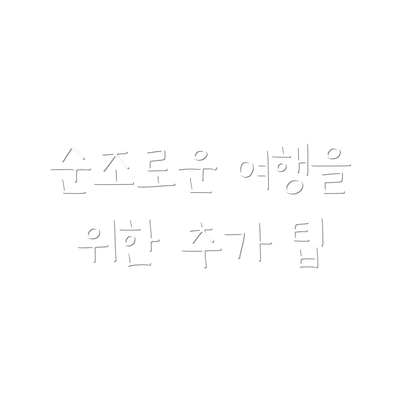 순조로운 여행을 위한 추가 팁