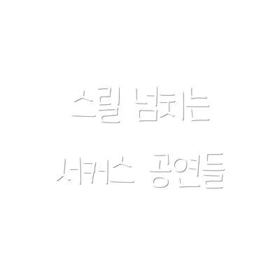 스릴 넘치는 서커스 공연들
