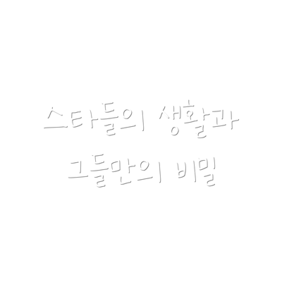 스타들의 생활과 그들만의 비밀