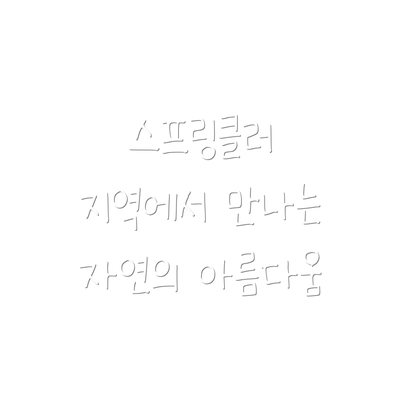 스프링클러 지역에서 만나는 자연의 아름다움