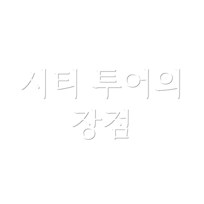 시티 투어의 장점