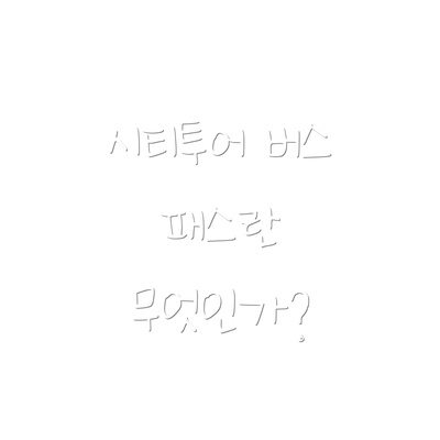 시티투어 버스 패스란 무엇인가?
