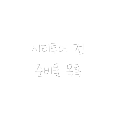 시티투어 전 준비물 목록