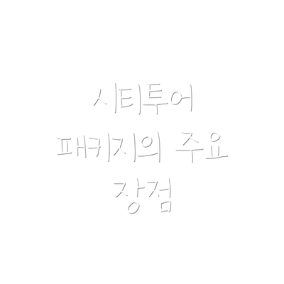 시티투어 패키지의 주요 장점