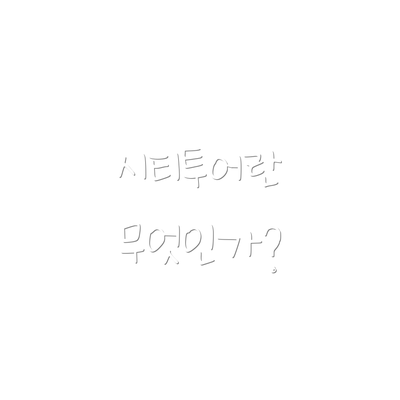 시티투어란 무엇인가?