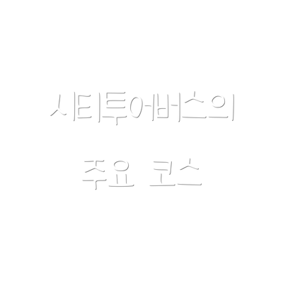 시티투어버스의 주요 코스