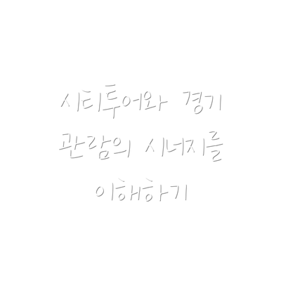 시티투어와 경기 관람의 시너지를 이해하기