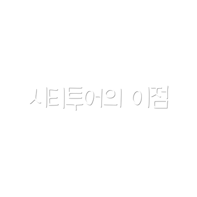 시티투어의 이점
