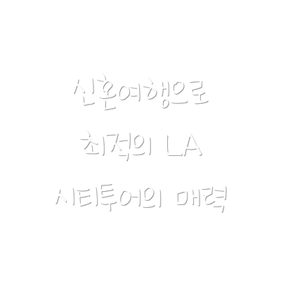 신혼여행으로 최적의 LA 시티투어의 매력