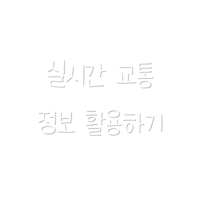 실시간 교통 정보 활용하기