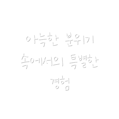 아늑한 분위기 속에서의 특별한 경험
