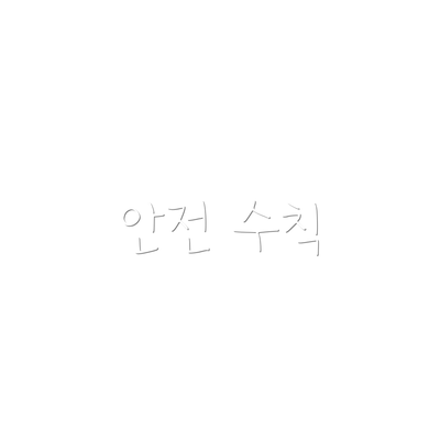 안전 수칙