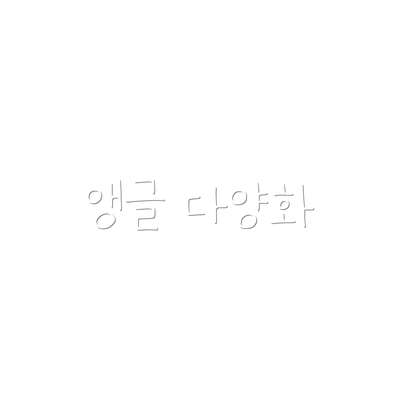 앵글 다양화