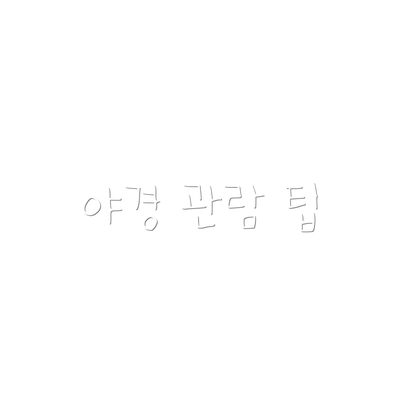 야경 관람 팁