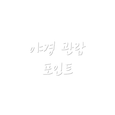 야경 관람 포인트