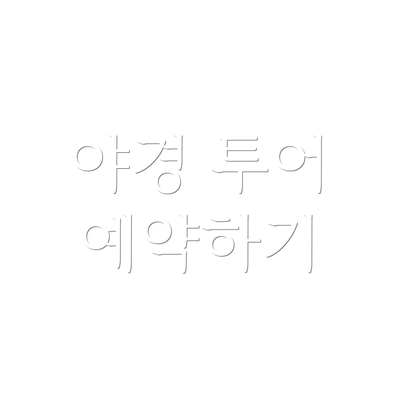 야경 투어 예약하기