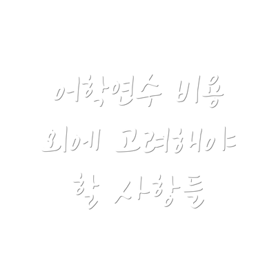 어학연수 비용 외에 고려해야 할 사항들