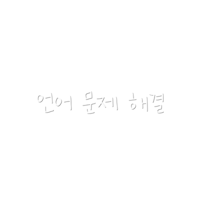 언어 문제 해결