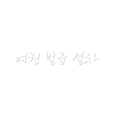 여권 발급 절차
