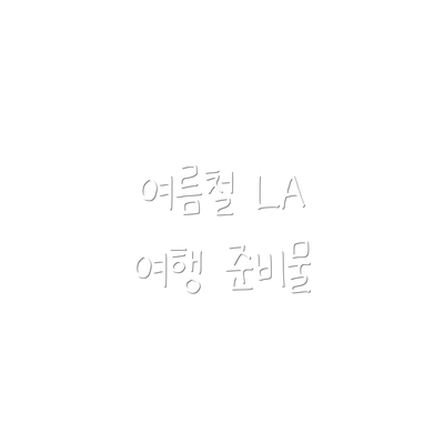 여름철 LA 여행 준비물