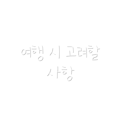 여행 시 고려할 사항