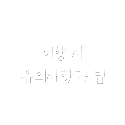 여행 시 유의사항과 팁