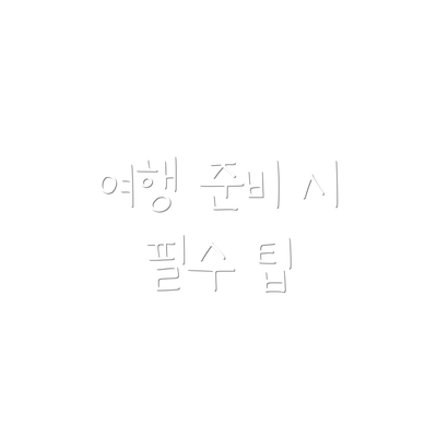 여행 준비 시 필수 팁