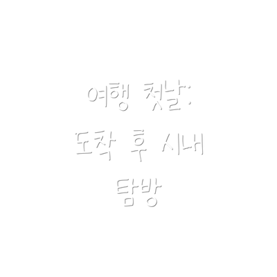 여행 첫날: 도착 후 시내 탐방