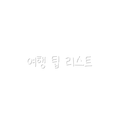 여행 팁 리스트
