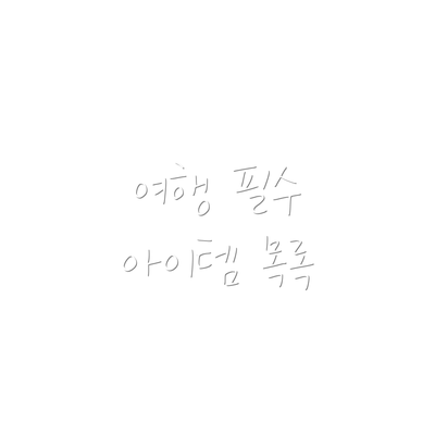 여행 필수 아이템 목록