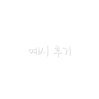 예시 후기