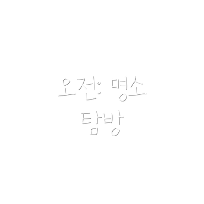 오전: 명소 탐방