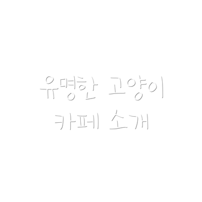 유명한 고양이 카페 소개