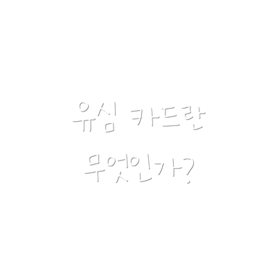 유심 카드란 무엇인가?