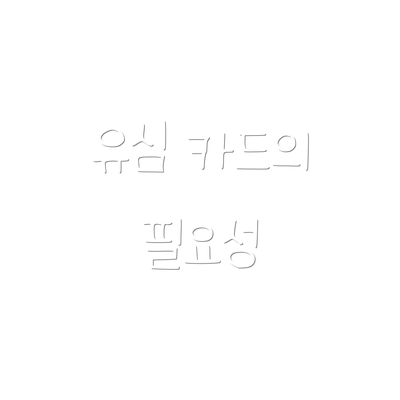 유심 카드의 필요성