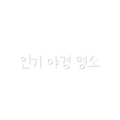 인기 야경 명소