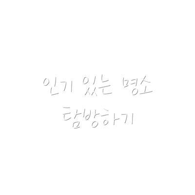 인기 있는 명소 탐방하기