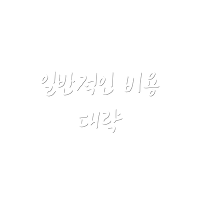 일반적인 비용 대략