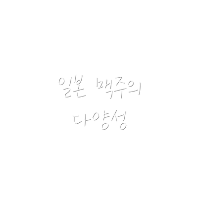 일본 맥주의 다양성