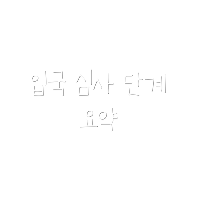 입국 심사 단계 요약