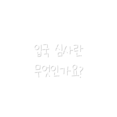 입국 심사란 무엇인가요?