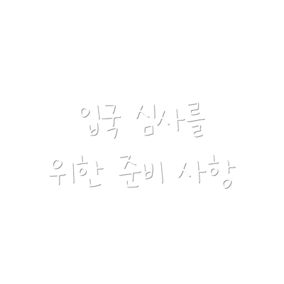 입국 심사를 위한 준비 사항
