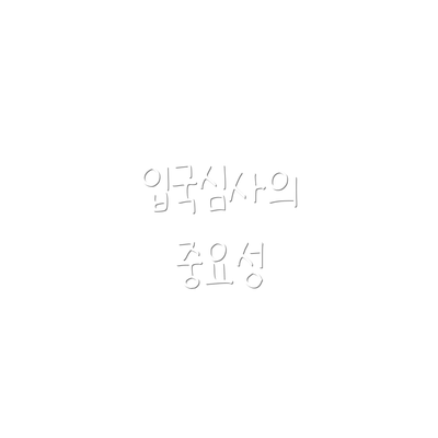 입국심사의 중요성