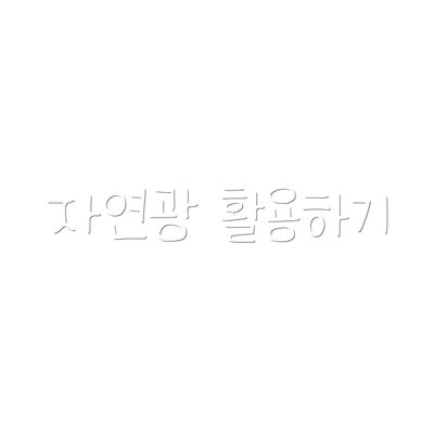자연광 활용하기