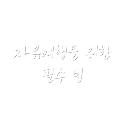 자유여행을 위한 필수 팁