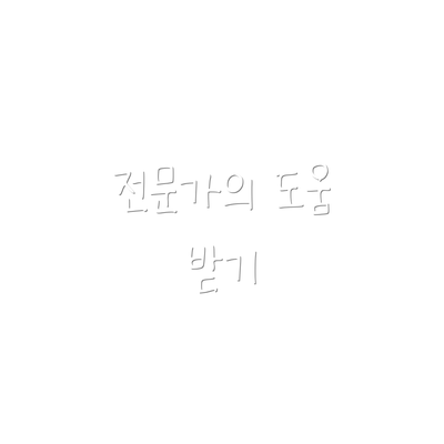 전문가의 도움 받기