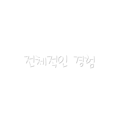 전체적인 경험