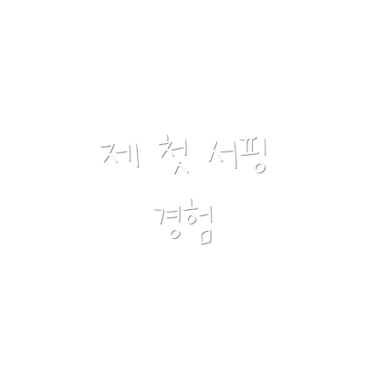 제 첫 서핑 경험